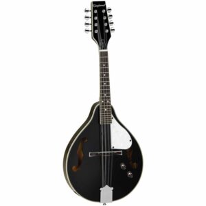 MANDOLINO TANGLEWOOD TWM-T-BKP-E